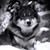 :icondjsmoothie16: