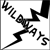 :icondjw-wildways: