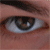 :icondjwojto: