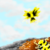 :icondjwooday: