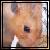 :icondk207210: