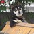 :icondkm92: