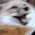 Dlake-Second-Account :icondlake-second-account: