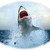 :icondleb7:
