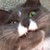 :icondlemr: