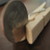 :icondlfish: