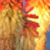 :icondlsully:
