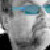 :icondmahde: