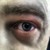 :icondmajor1: