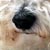 :icondmrs: