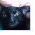 :icondmw40: