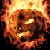 :icondna-z: