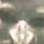 :icondnalab: