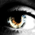 :icondnbrashan: