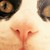 :icondninie-art: