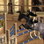 :icondns-stock: