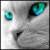 :icondo4di:
