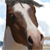 :icondoberman-momma89: