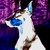 :icondobermanjude: