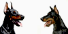 group avatar