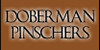 :icondobermanpinschers: