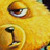 :icondoc34: