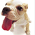 :icondoccer: