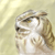 :iconDocile-Dragon: