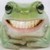 :icondocsmirc: