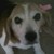 :icondoctor-who-luver: