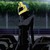 :icondoctor-whooona: