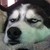 :icondoctorridiculous: