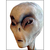 doctrclaw :icondoctrclaw: