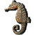 :icondocturd: