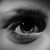:icondodadrawsthings: