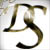 :icondog-soldiers: