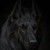 dogdarko :icondogdarko: