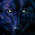 :icondogdarko: