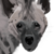 :icondogduck: