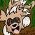 :icondogfish44: