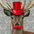 :icondoggydog1234: