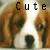 :icondoglover6498: