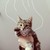 :icondogluvrr01: