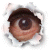 :icondoh-vamp: