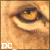 :icondolce-chai: