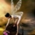:icondolis333: