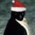 :iconDollaJames: