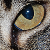 :icondollarpwncenter: