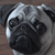 :icondollofart: