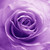 DOLLofPARANOIA :icondollofparanoia: